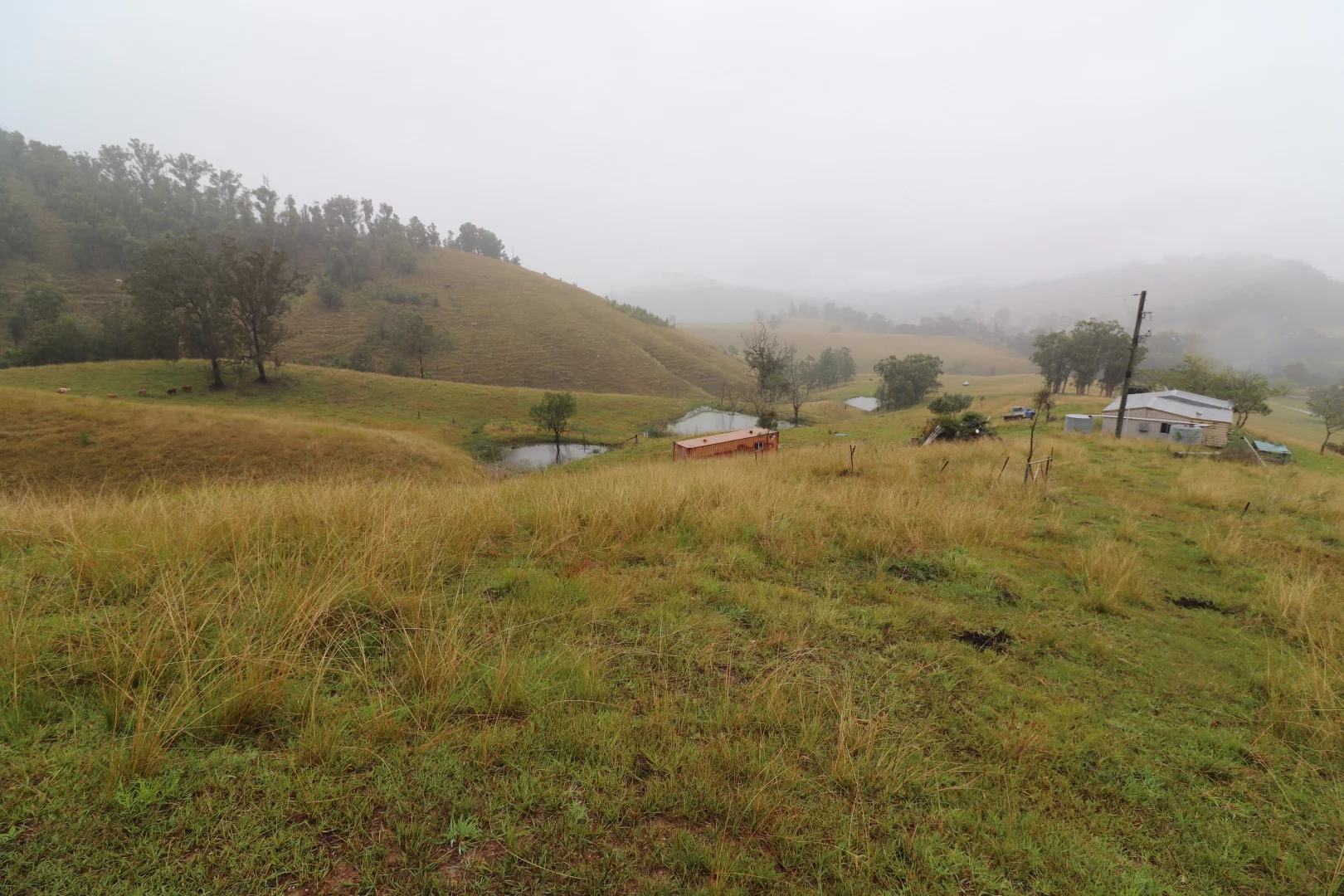 Additional image 25 of 8282 Armidale Road, Lower Creek NSW 2440