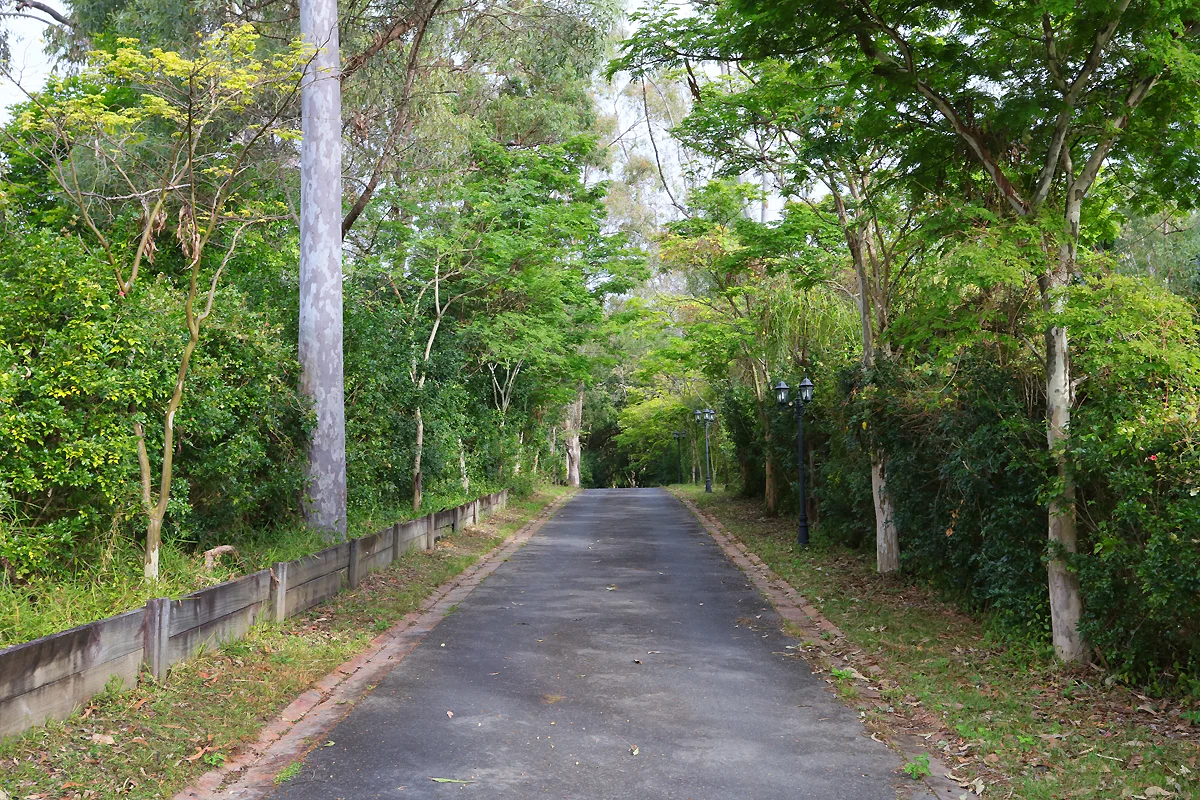 Additional image 25 of 41 Quambone Street, Worongary QLD 4213