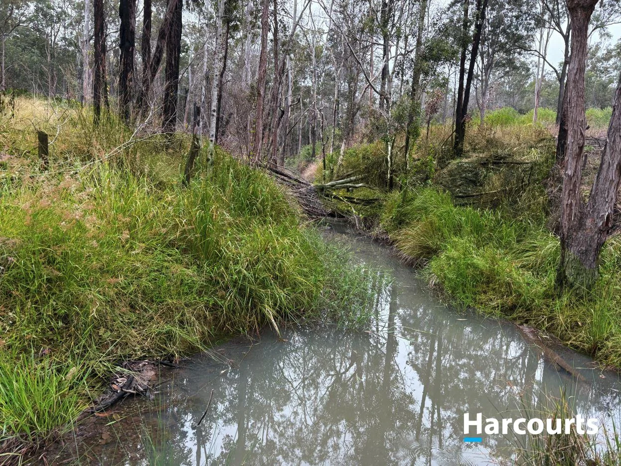 Additional image 4 of Lot 38 TENNINGERING ROAD, Good Night QLD 4671