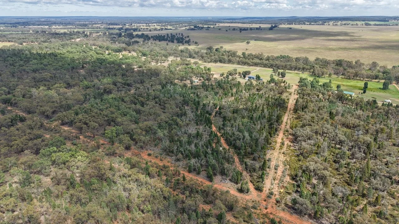 Additional image 6 of 220 Bilamurru Road, Mendooran NSW 2842
