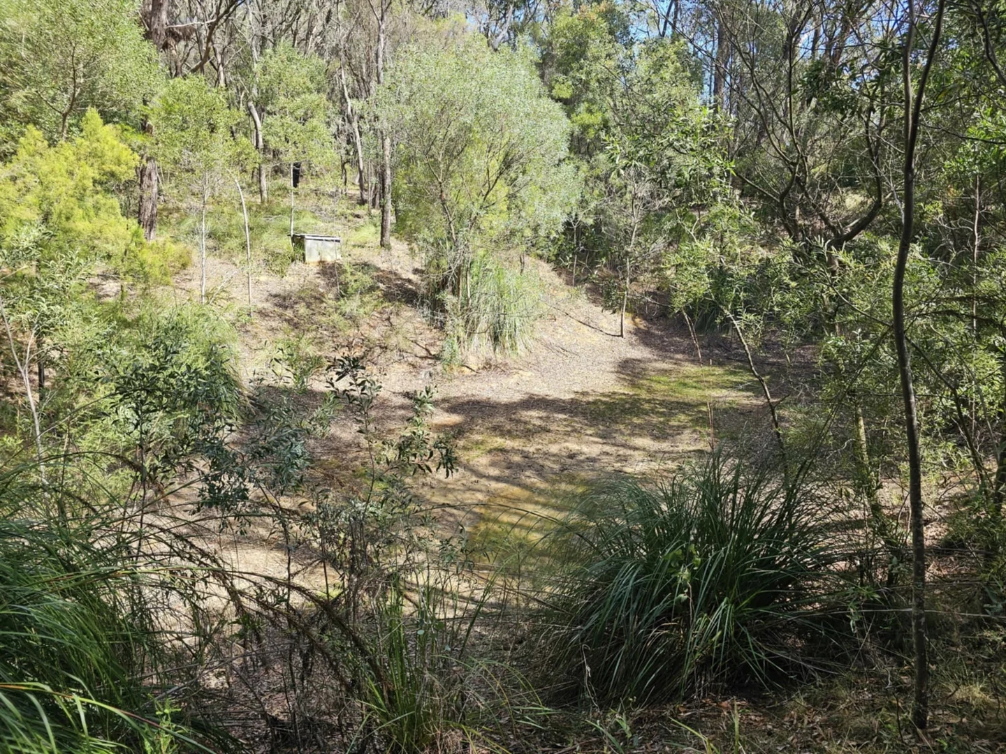 Additional image 6 of 80 Bull Hill Road, Kawarren VIC 3249