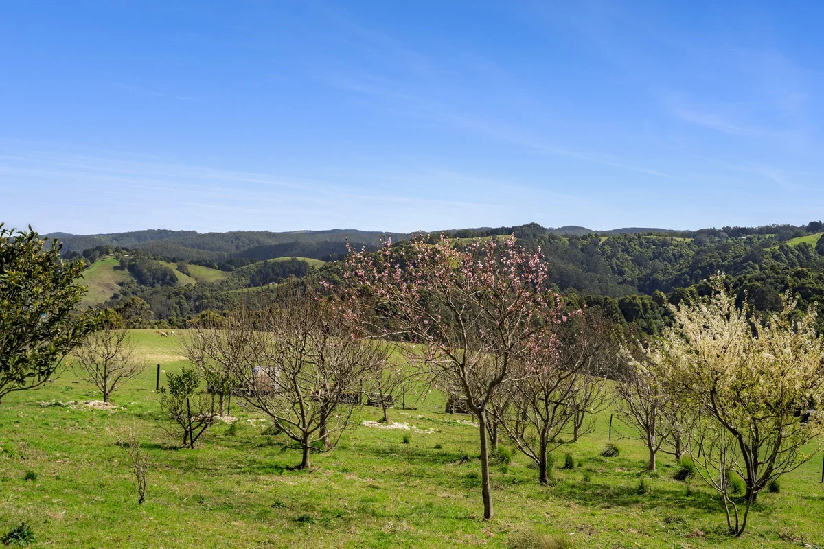 Additional image 10 of 675 Skenes Creek Road, Skenes Creek North VIC 3233