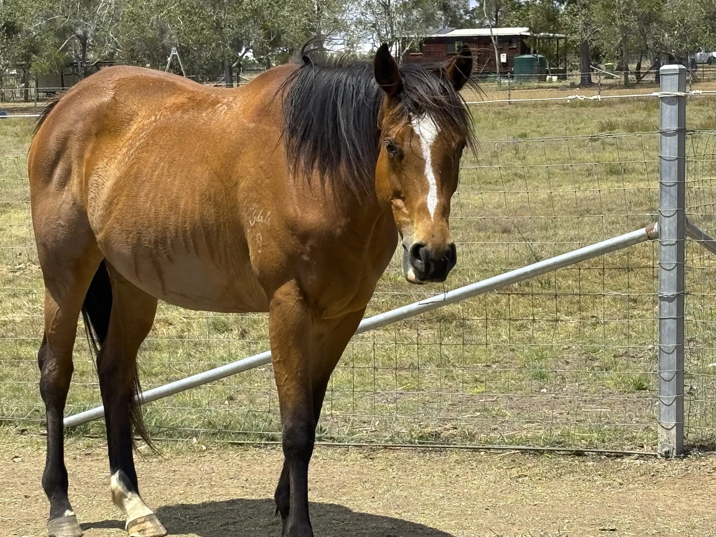 Additional image 3 of 37 Jamieson Road, Churchable QLD 4311