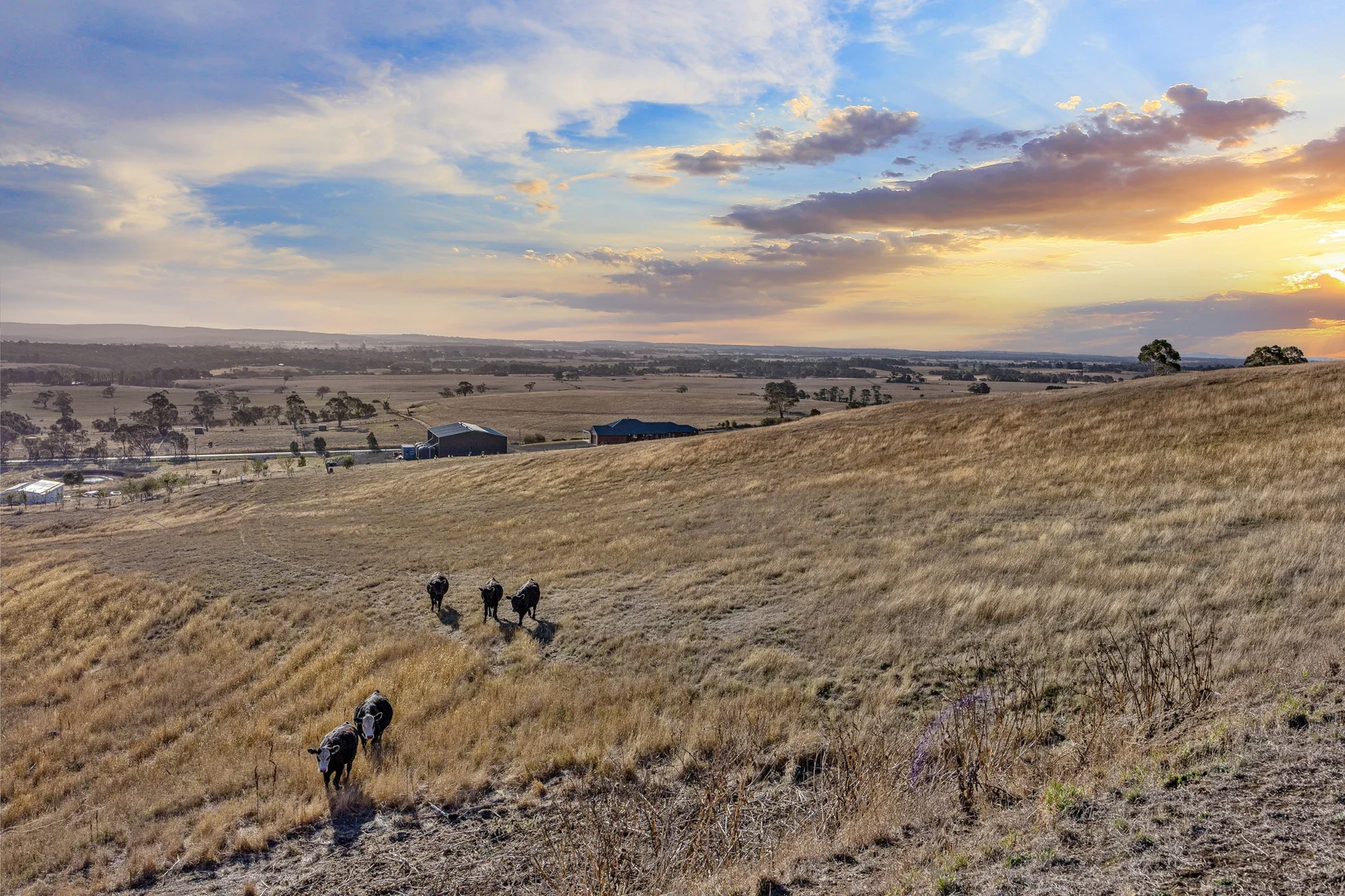 Additional image 4 of Lot 2/46 Nicholsons Road, Durham Lead VIC 3352