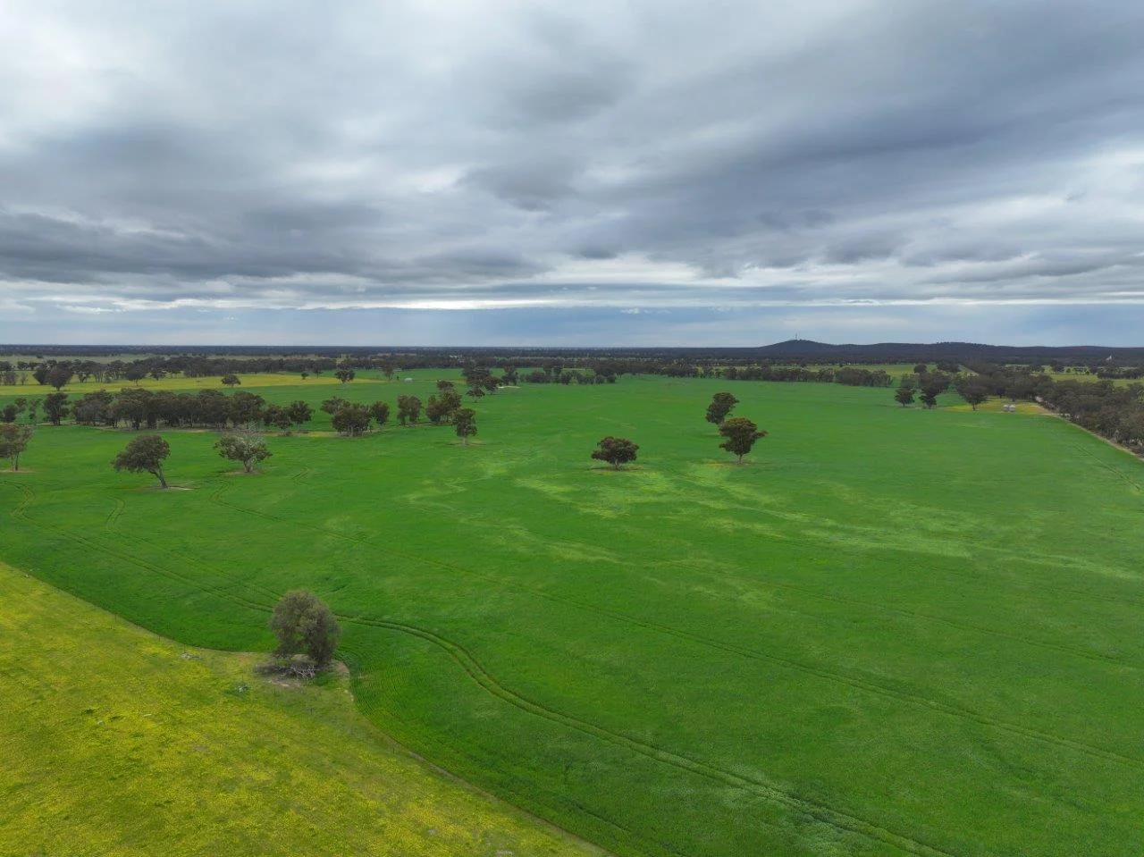 Additional image 18 of -- Brenanah-Kurting Road, Kurting VIC 3517