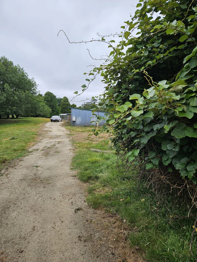 Additional image 30 of Grand Ridge VIC 3870