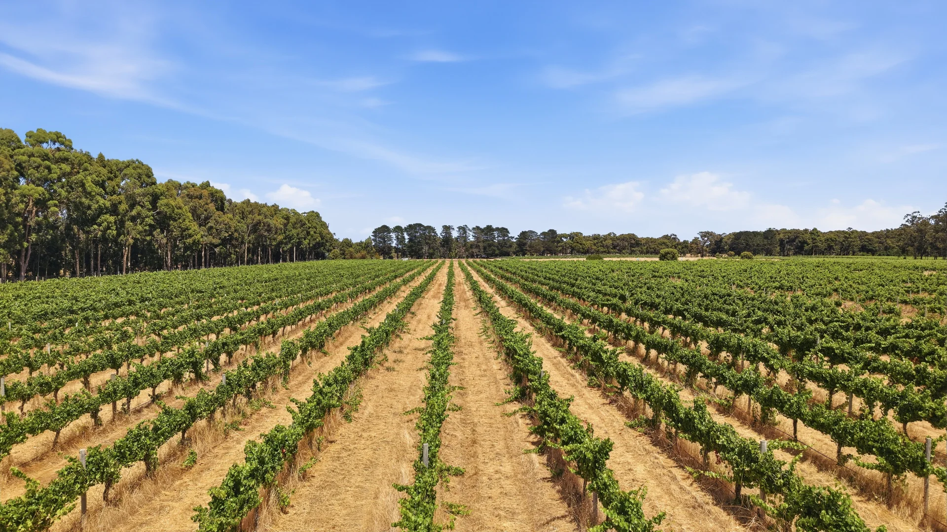 Additional image 23 of 26/3599 Caves Road, Wilyabrup WA 6280