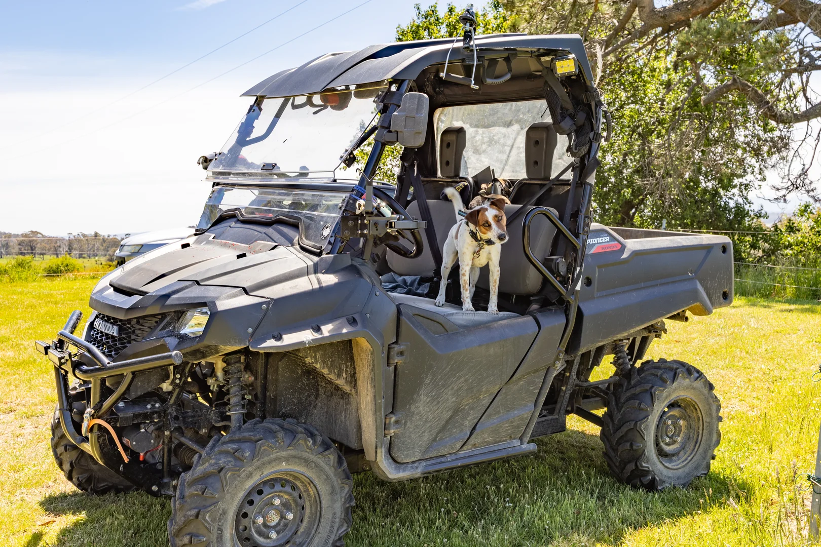 Additional image 25 of 234 Top Road, Blackwood Creek TAS 7301