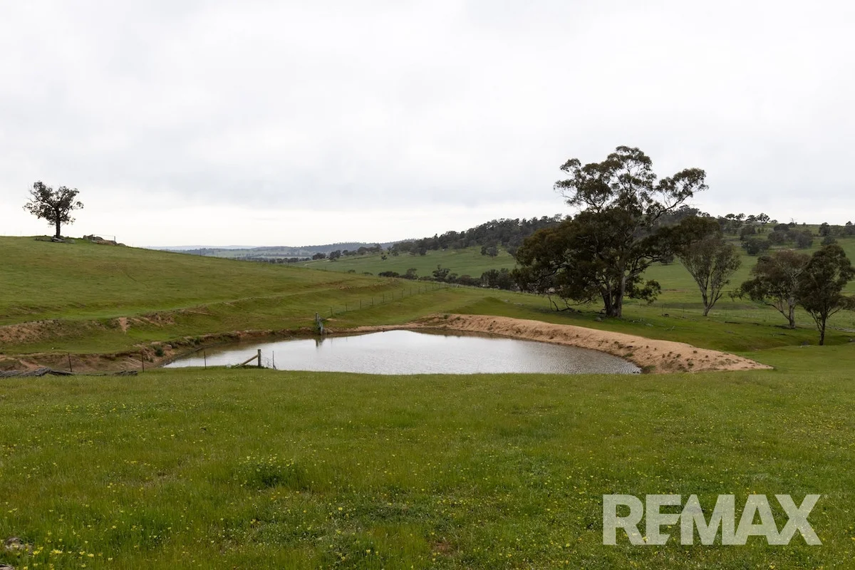 Additional image 23 of 417 Twelve Mile Road, Yarragundry NSW 2650