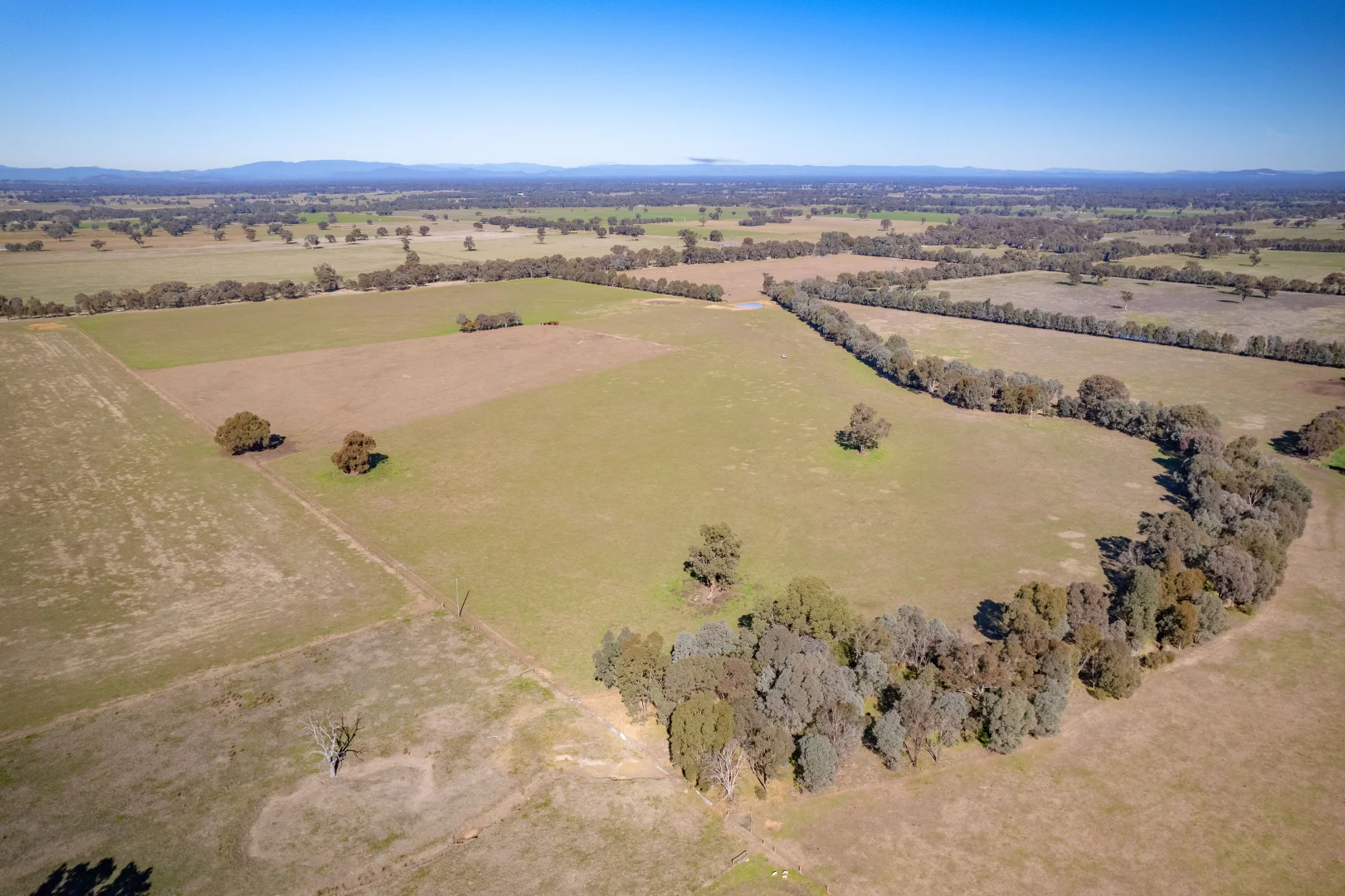 Additional image 5 of 486 Carraragarmungee Estate Road, Byawatha VIC 3678