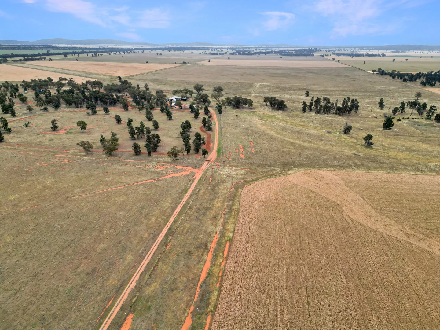 'Werona' 904 North Yalgogrin Road, Tallimba NSW 2669