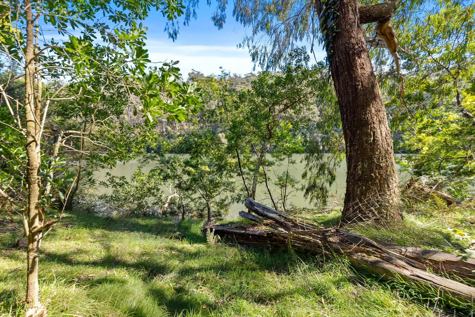 Additional image 4 of 1 Sheas Road, Mogood NSW 2538