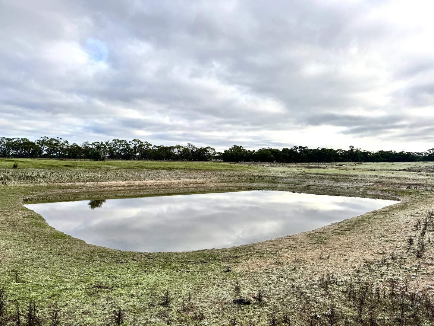 Additional image 6 of Dergholm VIC 3312