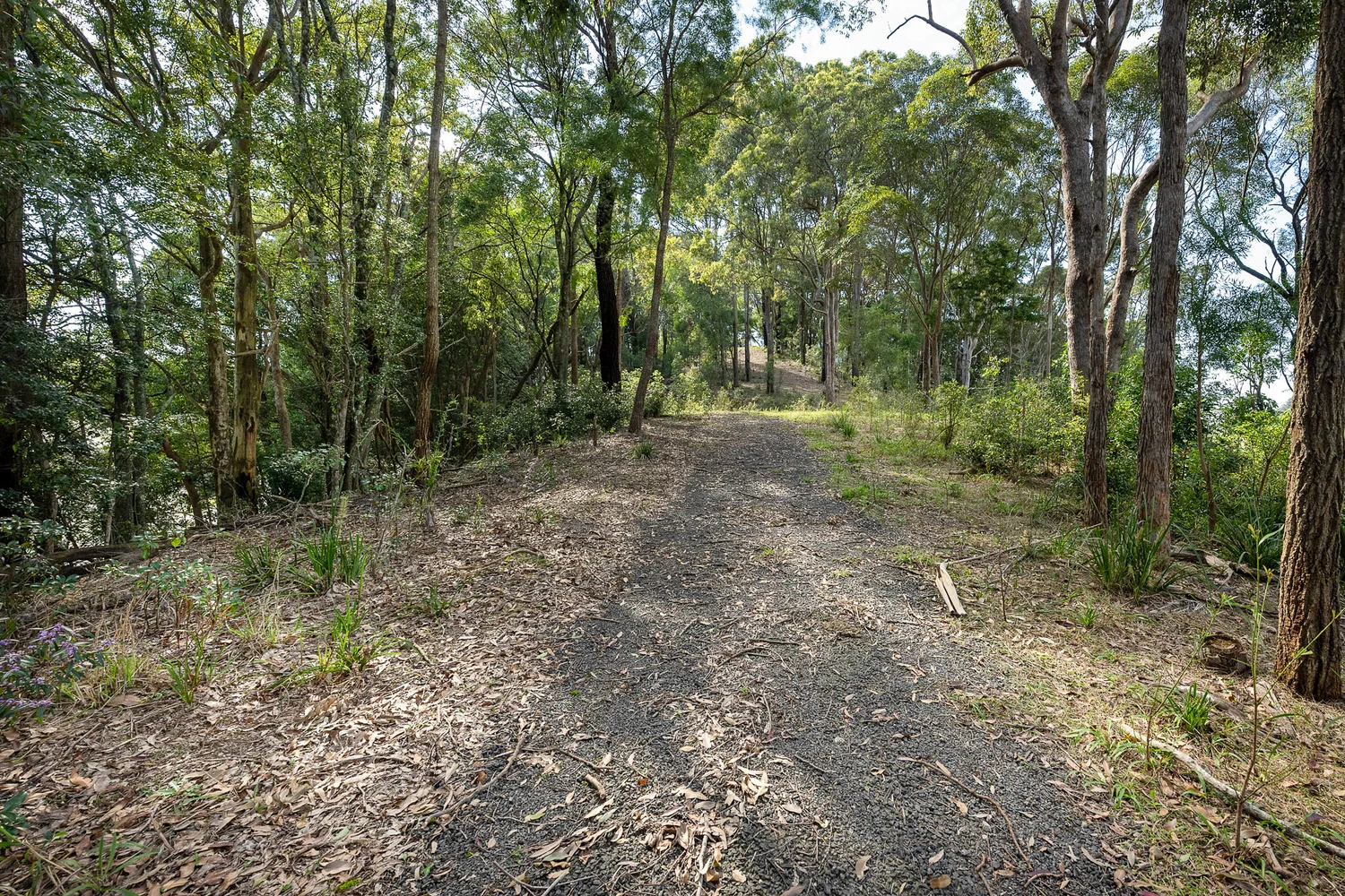 Additional image 2 of 38 Wooyung Road, Wooyung NSW 2483