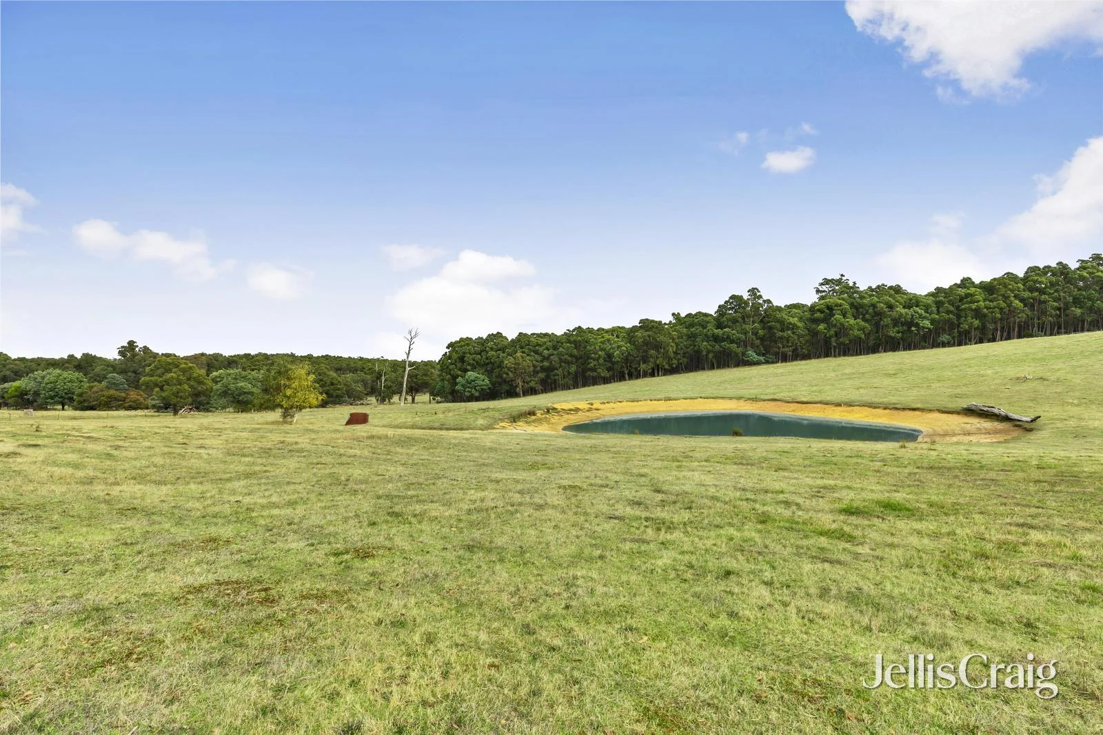 Additional image 5 of 85 Lightwood Drive, Wheatsheaf VIC 3461