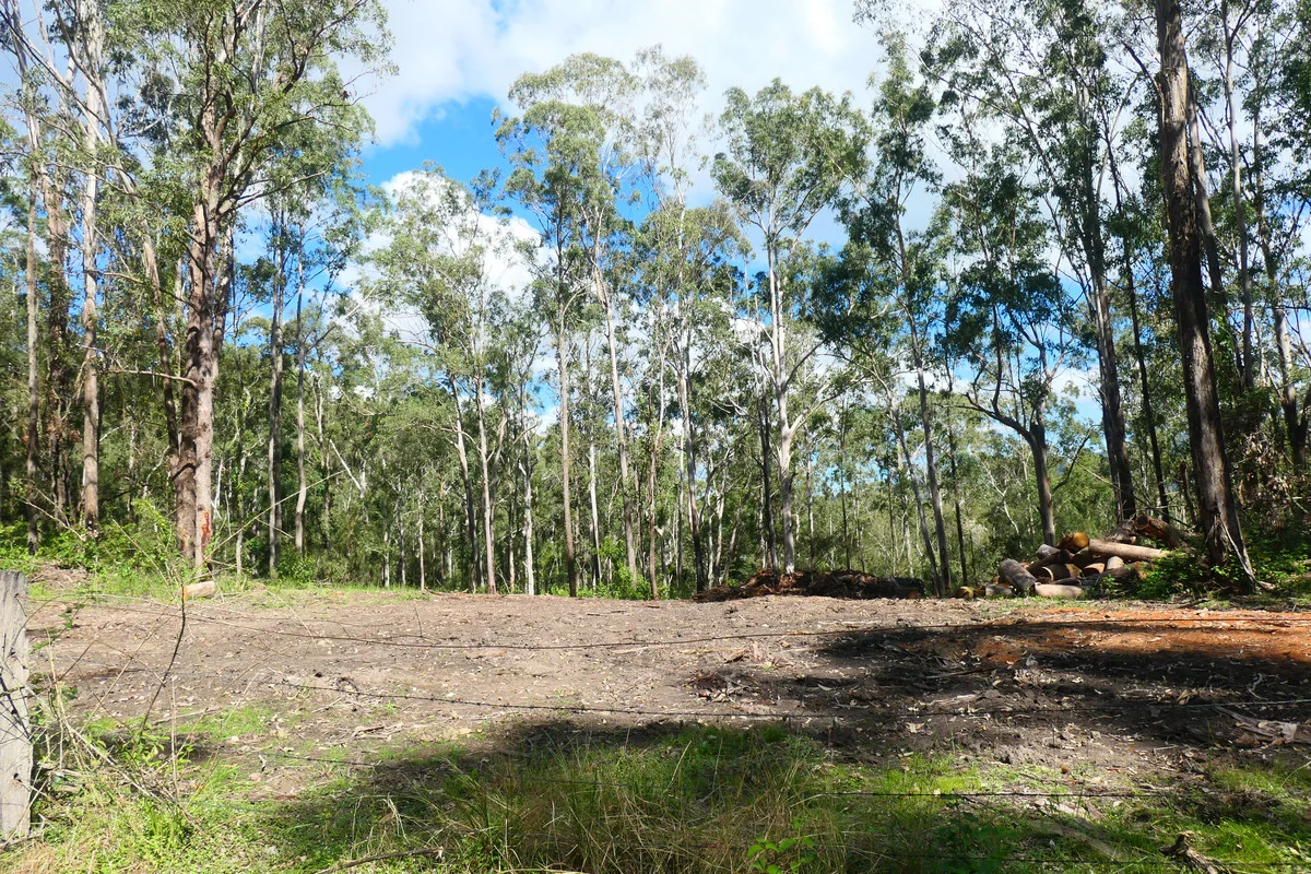 Additional image 21 of 146 Mills Road, Bean Creek NSW 2469