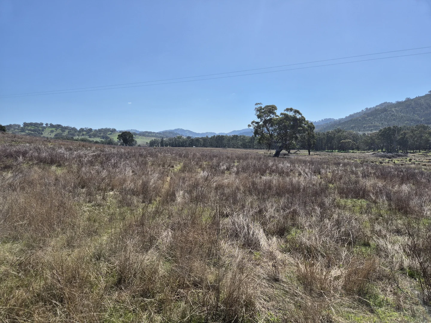 Additional image 11 of 46 Worlds End Rd, Yarrabin NSW 2850