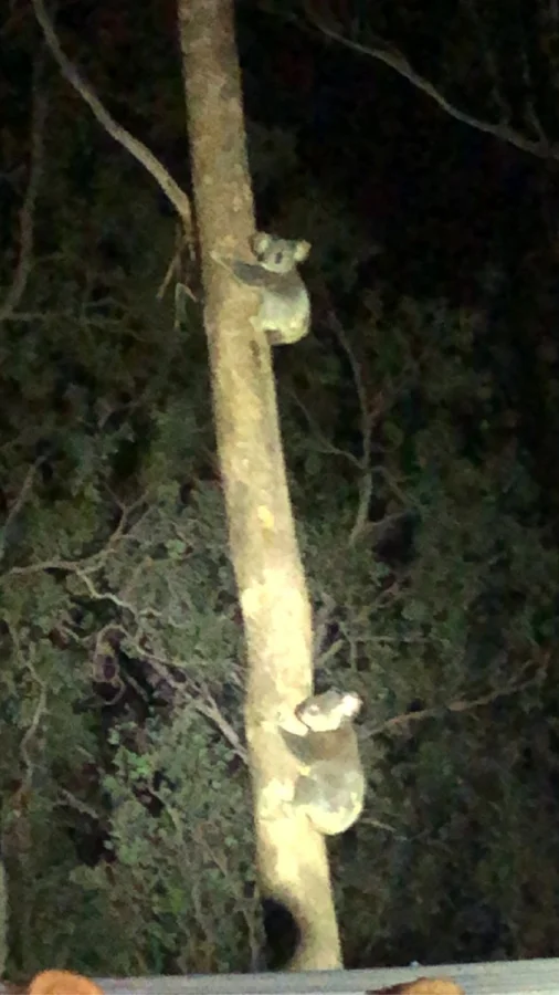 Additional image 13 of 151 Cameron Road, Taromeo QLD 4314