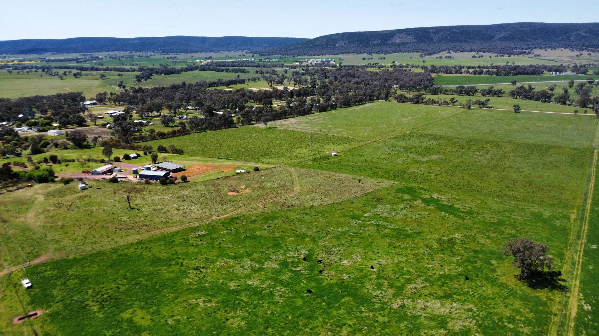 Additional image 32 of Young NSW 2594