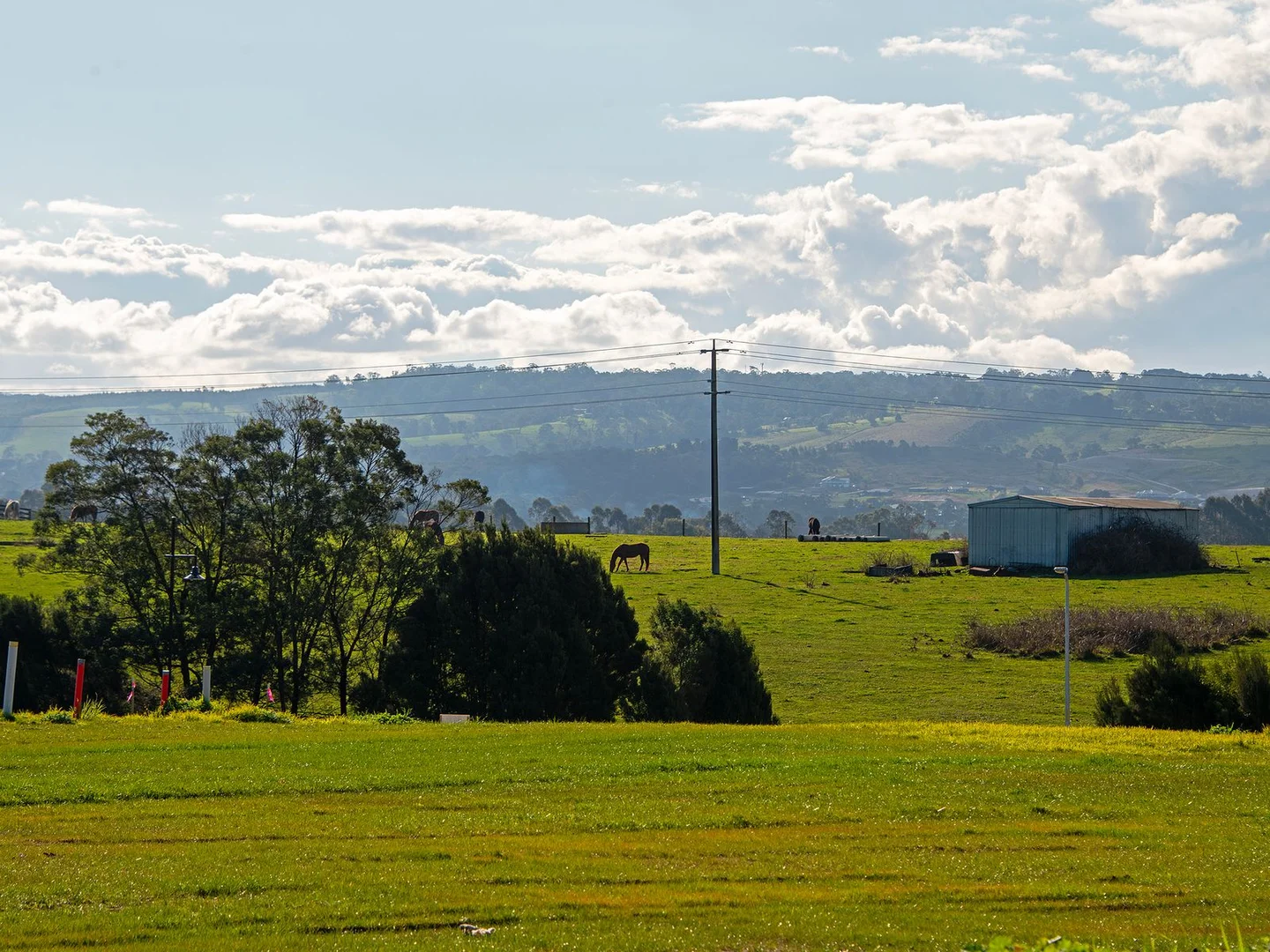 Additional image 7 of Lot 3/49 Ashworth Drive, Traralgon VIC 3844