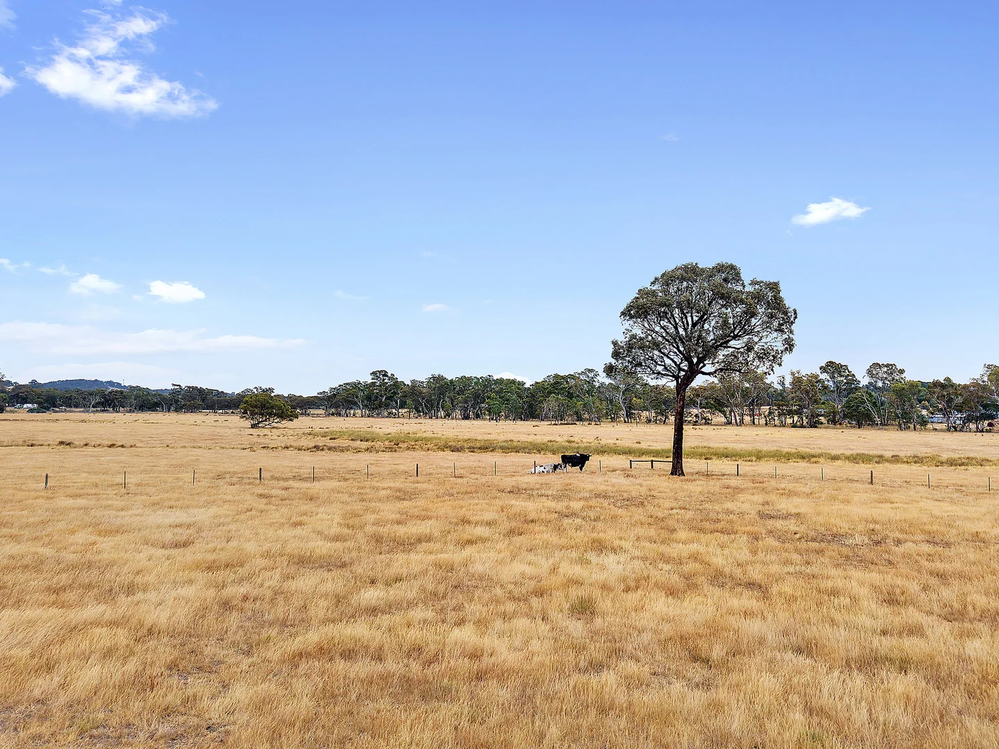 Additional image 9 of 136 Finnings Road, Elphinstone VIC 3448