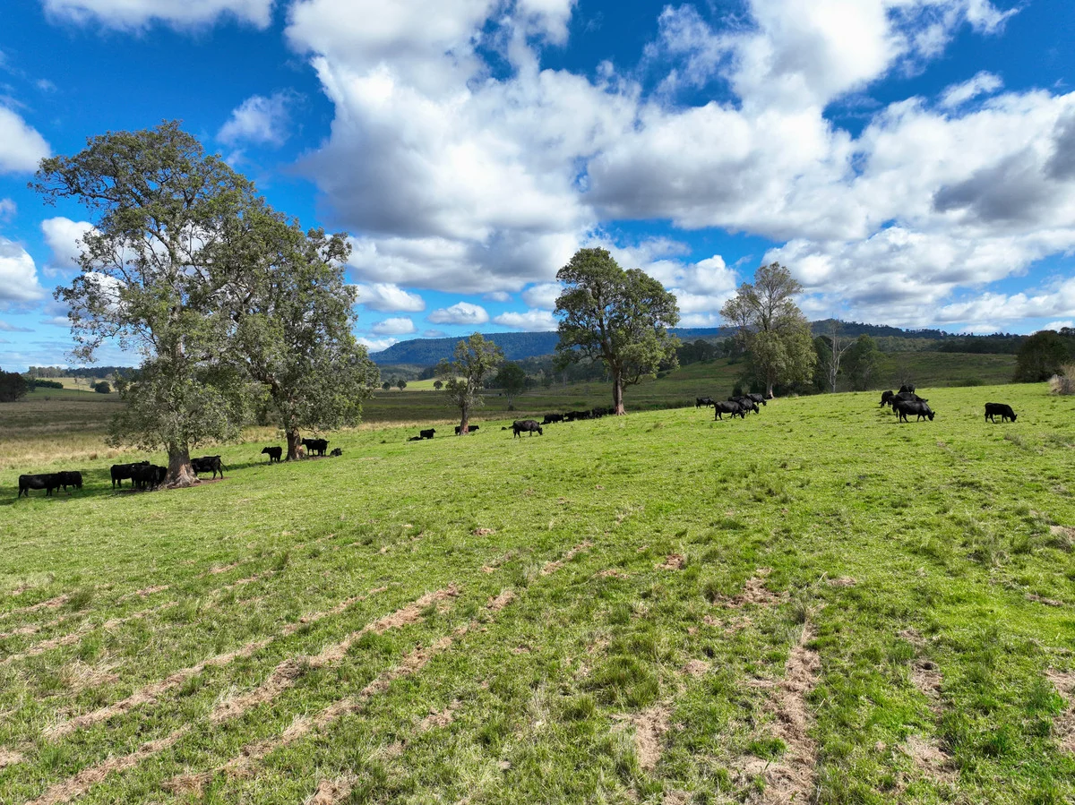 Additional image 23 of 15675 Clarence Way, Bean Creek NSW 2469