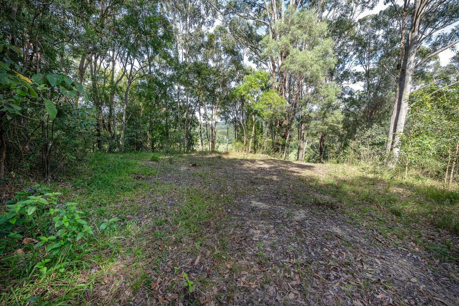 Additional image 13 of 38 Wooyung Road, Wooyung NSW 2483