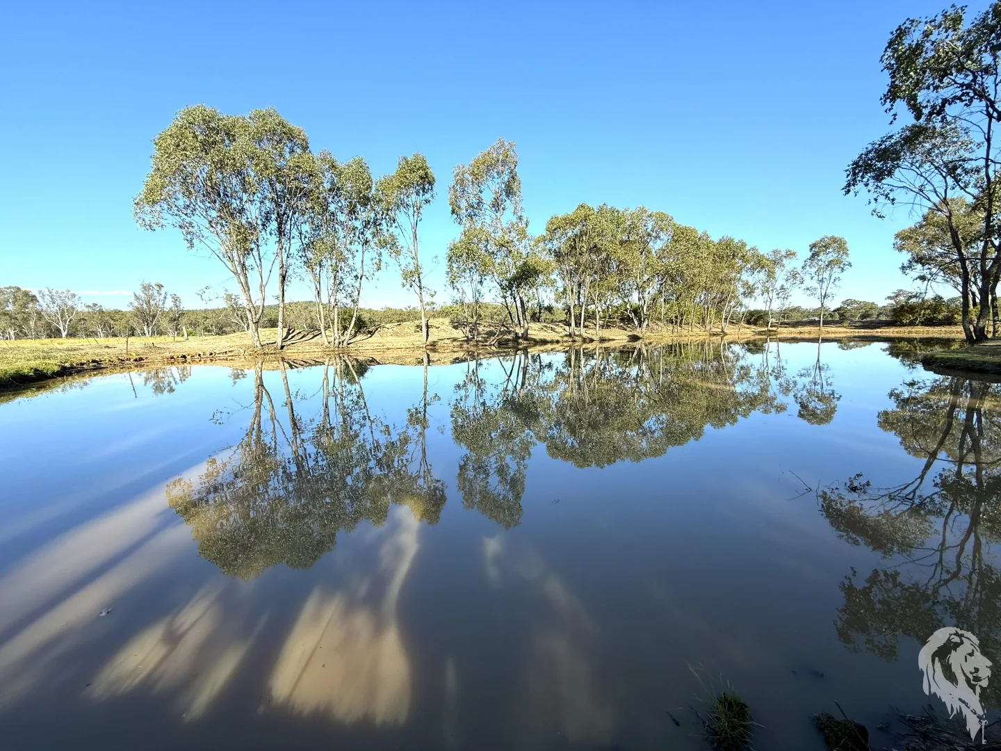 Additional image 2 of 10 Garwi Street, Baan Baa NSW 2390