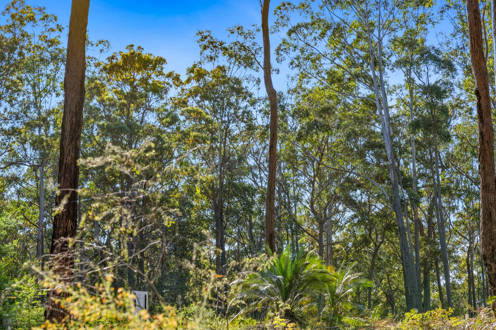 Additional image 13 of Lot 30 Clyde View Drive, Long Beach NSW 2536