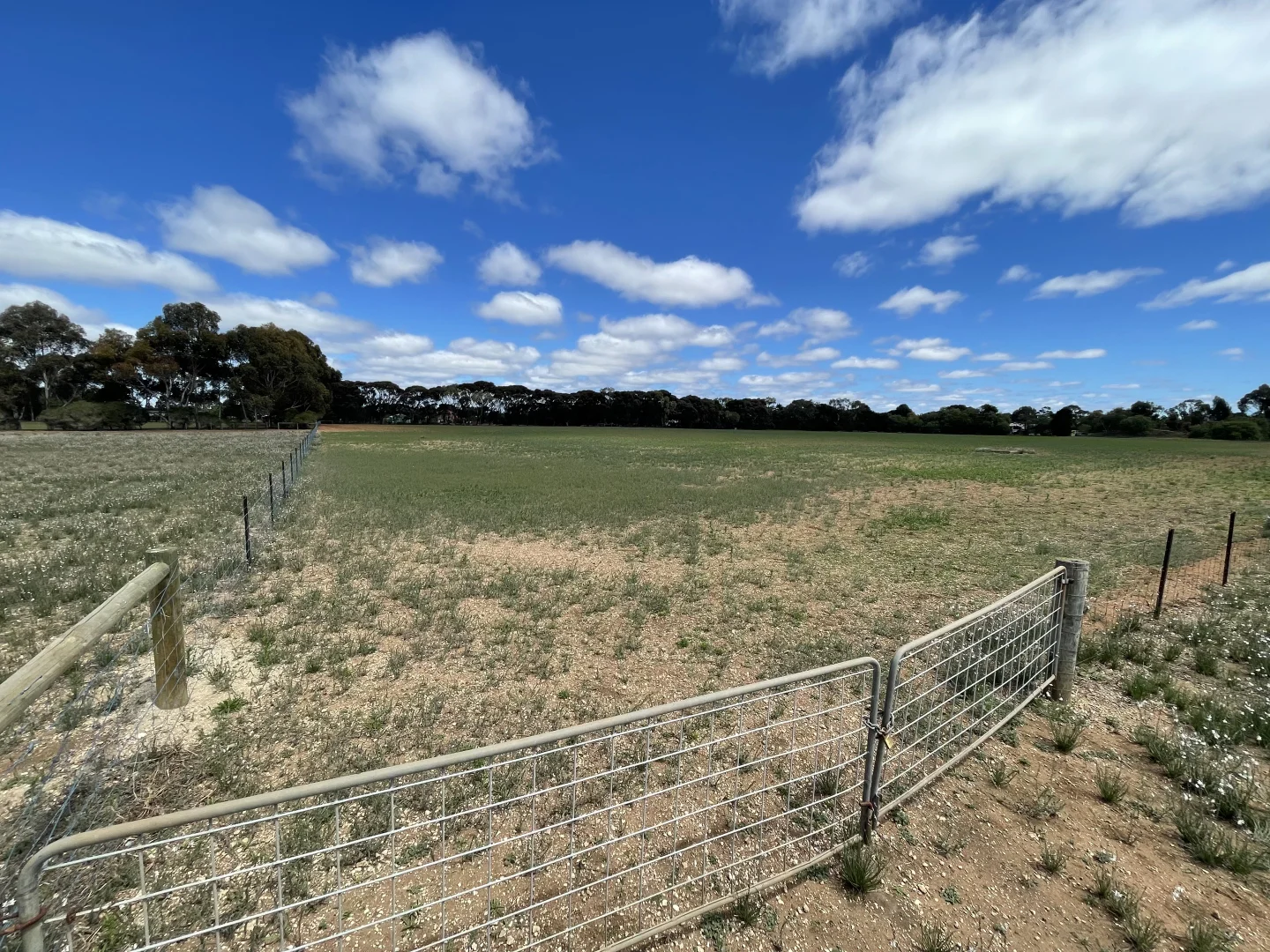 Additional image 6 of 95 Thomas Road, Lara VIC 3212