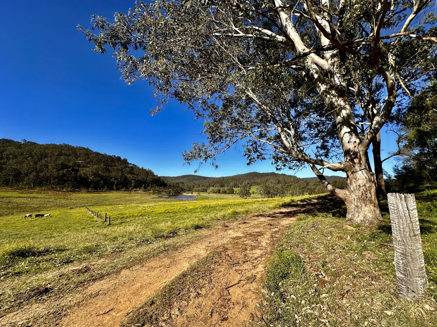 Additional image 19 of 3300 Great North Road, Wollombi NSW 2325