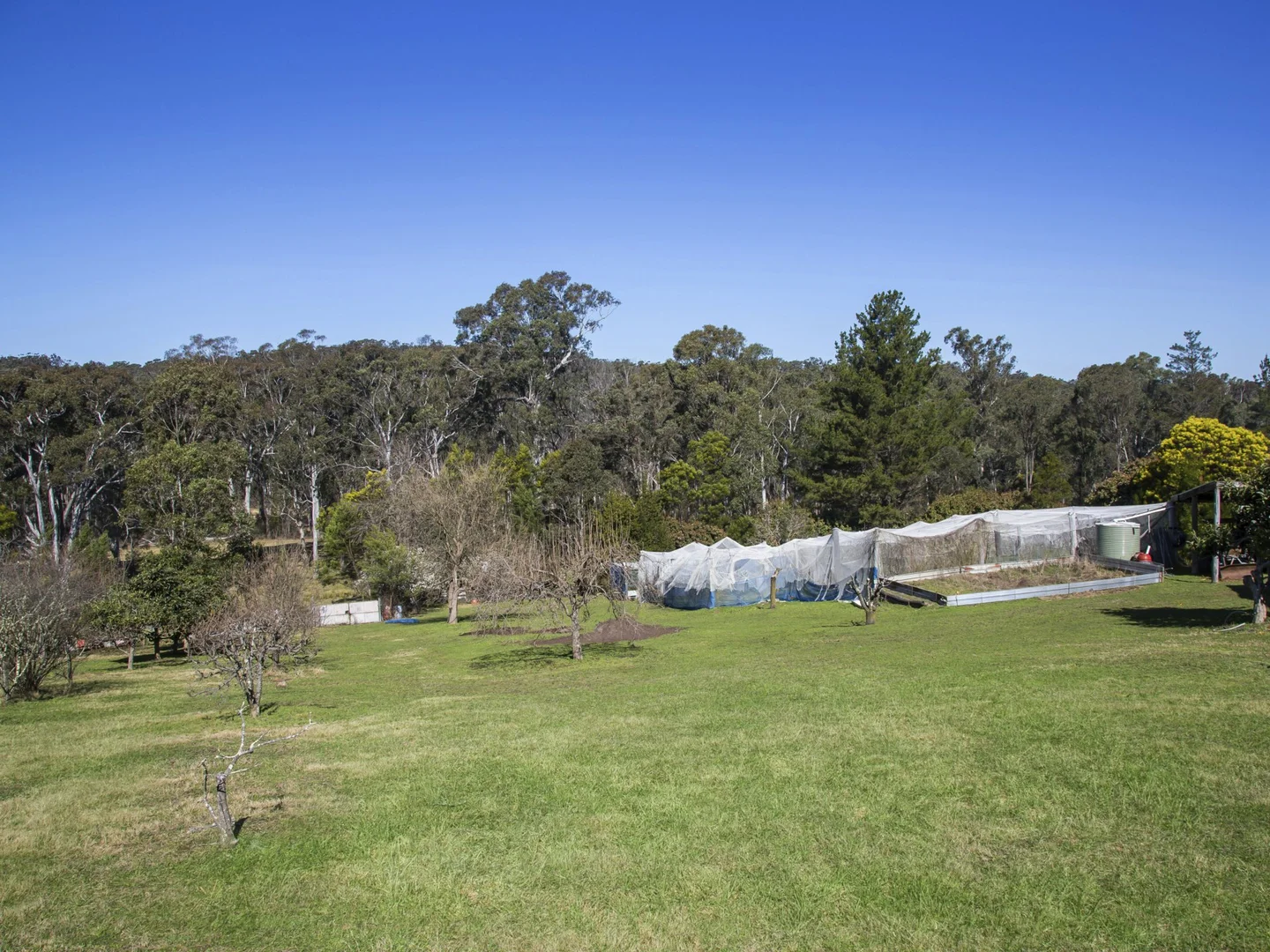 Additional image 14 of 170 Wattle Flats Road, Canyonleigh NSW 2577