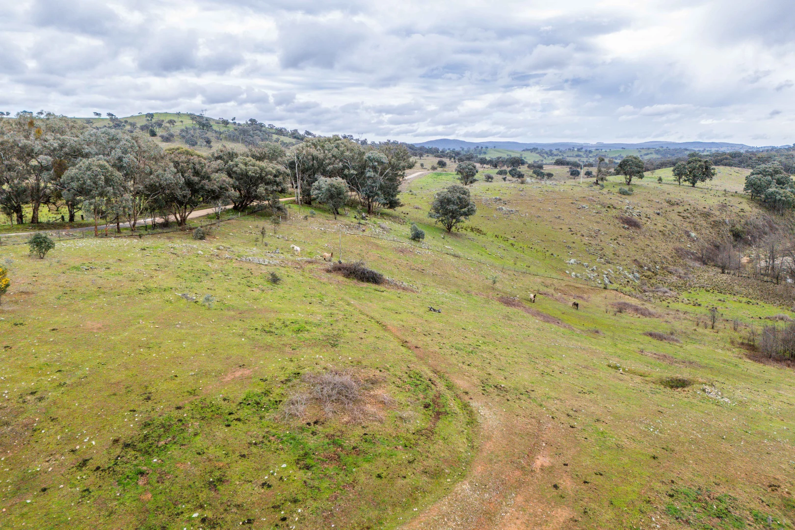 Additional image 5 of 1564 Lower Lewis Pond Road, Orange NSW 2800