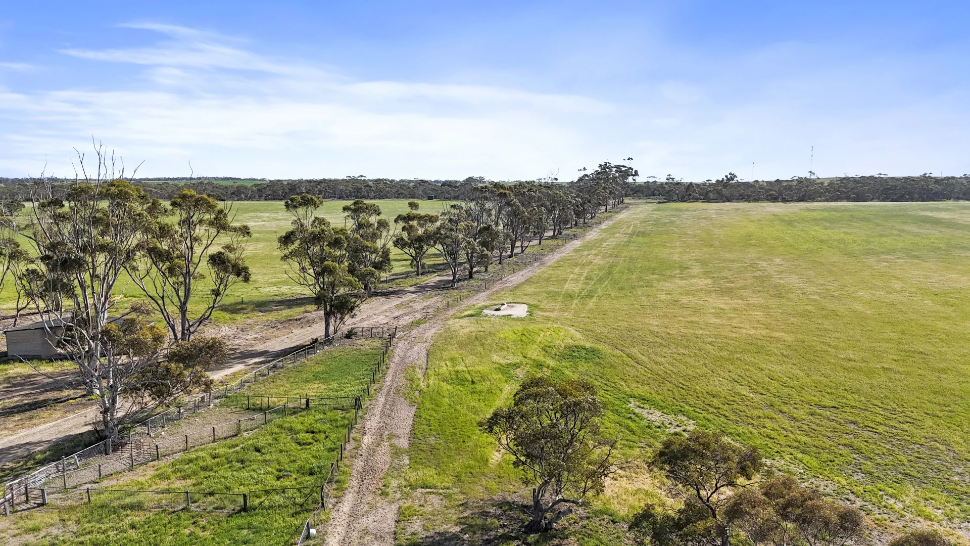 Additional image 17 of 4910 Mallee Highway, Peake SA 5301
