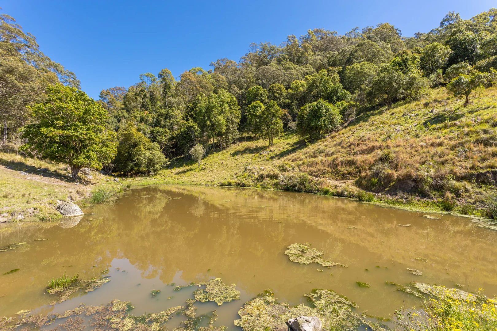 Additional image 11 of 233 Thunderbolts Way, Gloucester NSW 2422