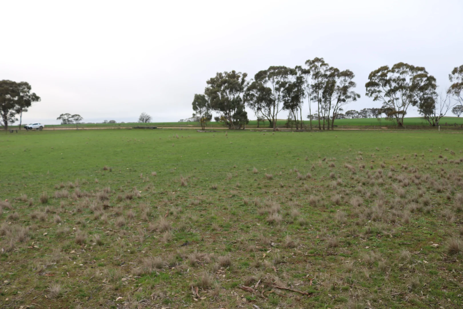 Additional image 8 of Nine Mile-Berrimal Road, Nine Mile VIC 3518