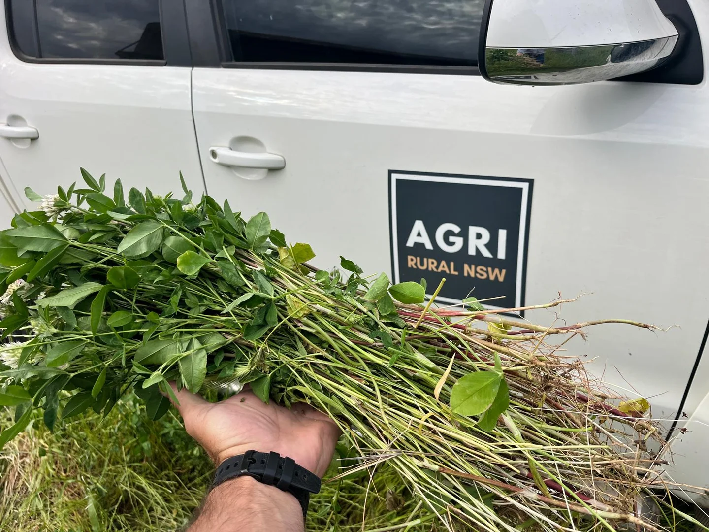 Additional image 5 of 'horse Gully' Old Waugoola Road, Woodstock NSW 2793