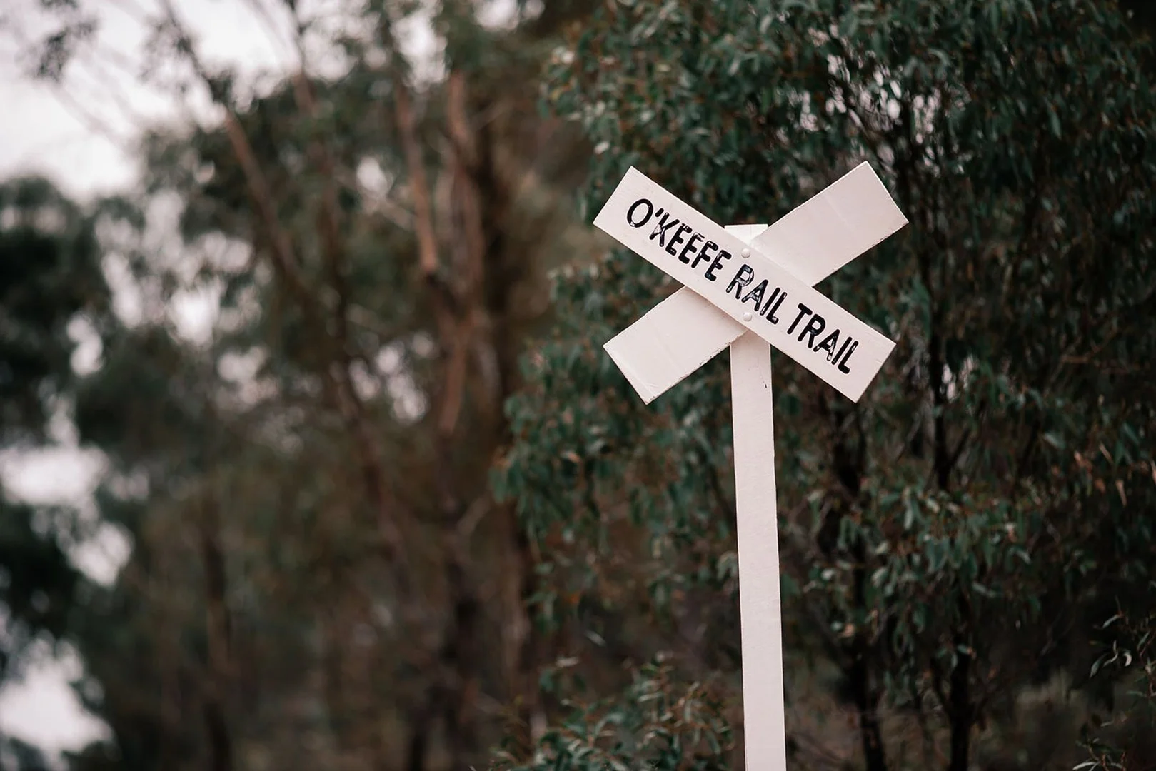 Additional image 8 of Rangelea Rise - 735 McIvor Highway, Junortoun VIC 3551