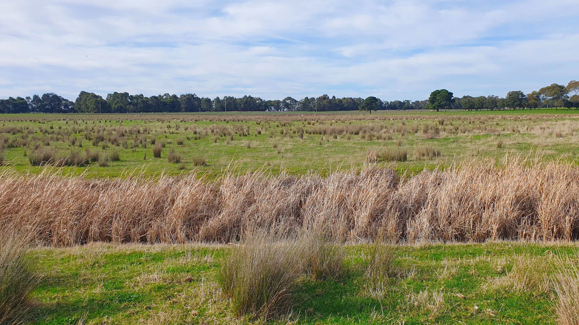 Additional image 16 of 2 Grammar Drive, Traralgon VIC 3844