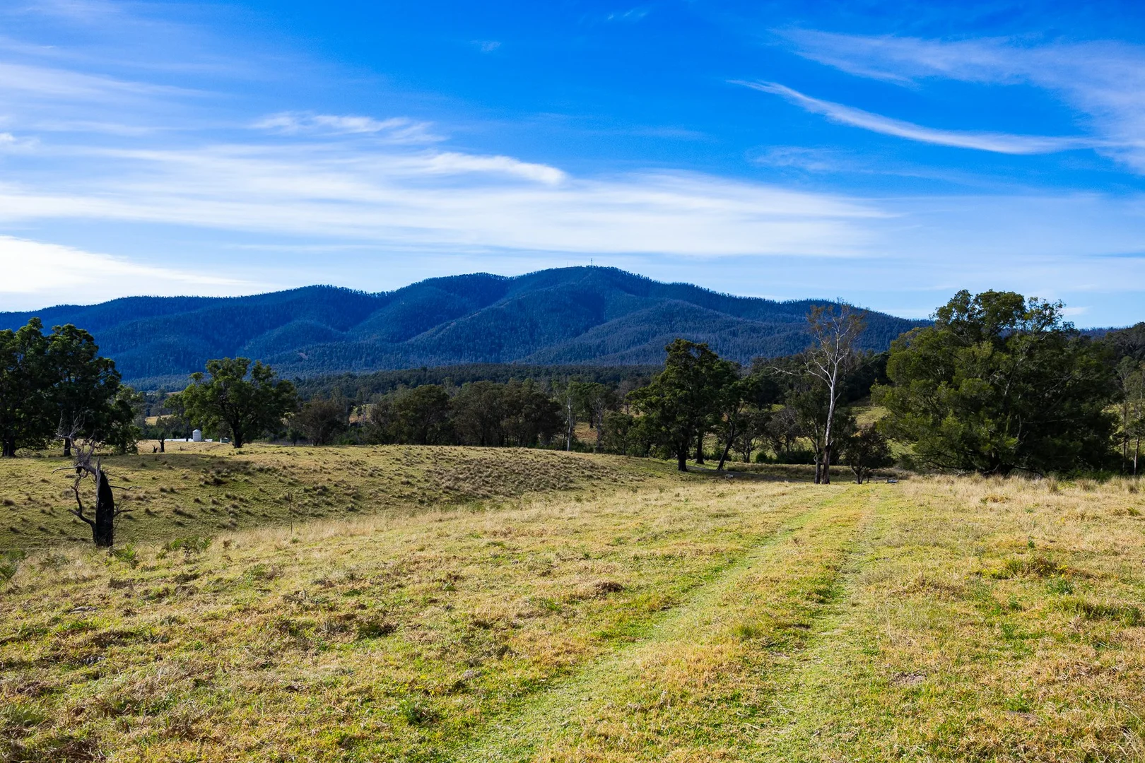 Additional image 3 of Lot 63 Watts Road, Cobargo NSW 2550