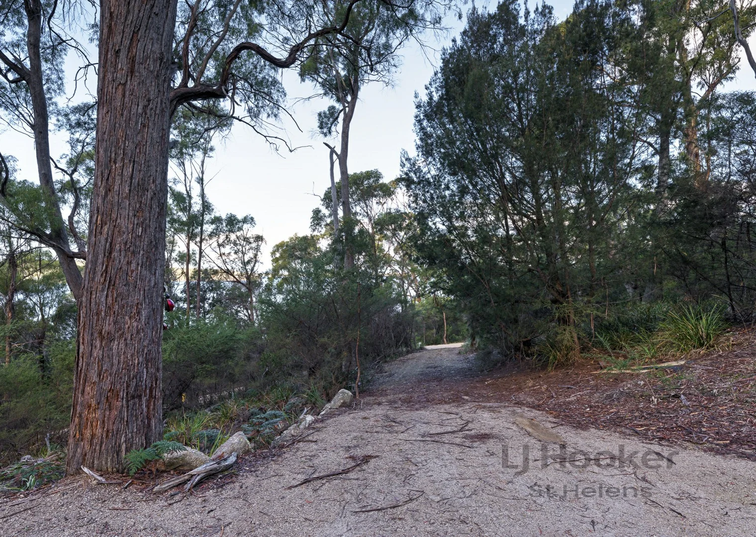 Additional image 5 of 367 Binalong Bay Road, St Helens TAS 7216