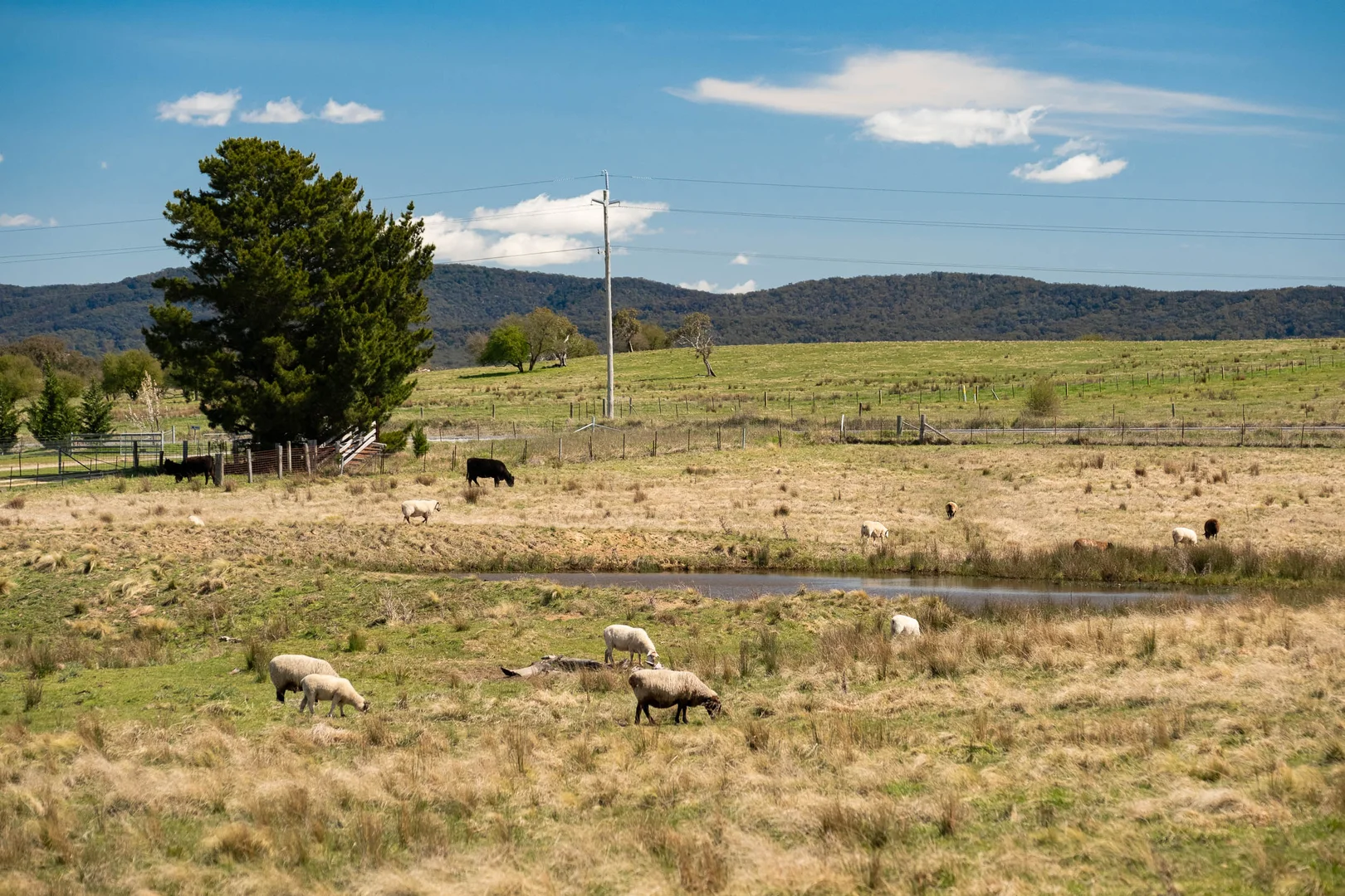 Additional image 39 of 3958 Braidwood Road, Tirrannaville NSW 2580