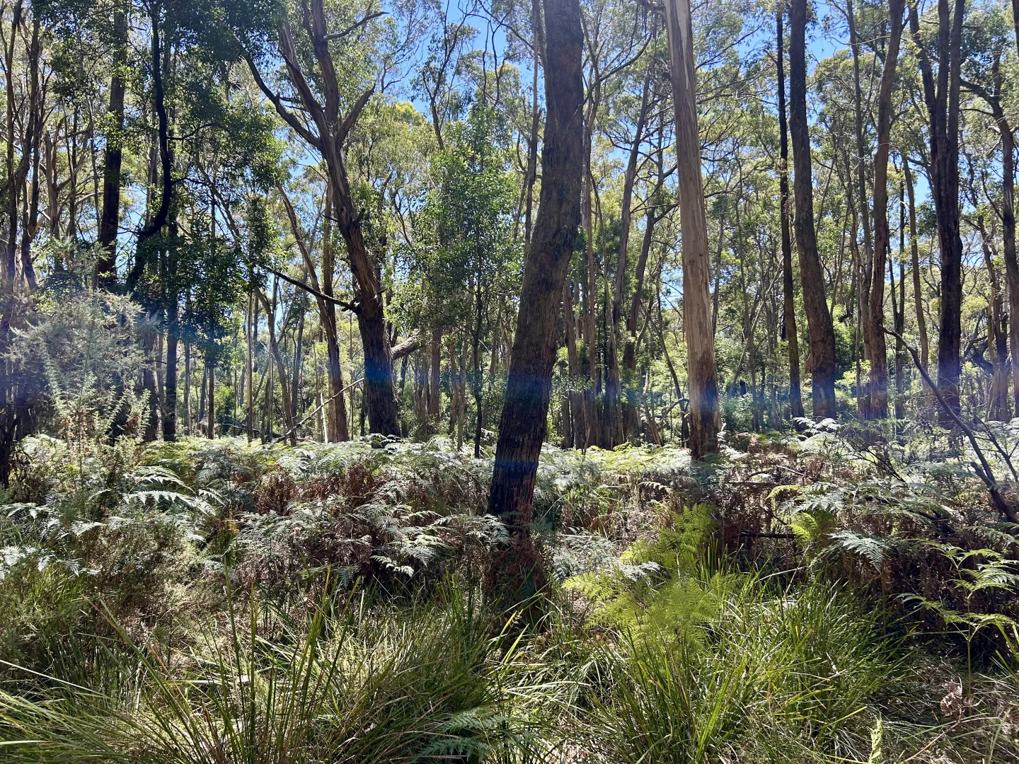 Additional image 7 of 18 Golden Point Road, Trentham VIC 3458