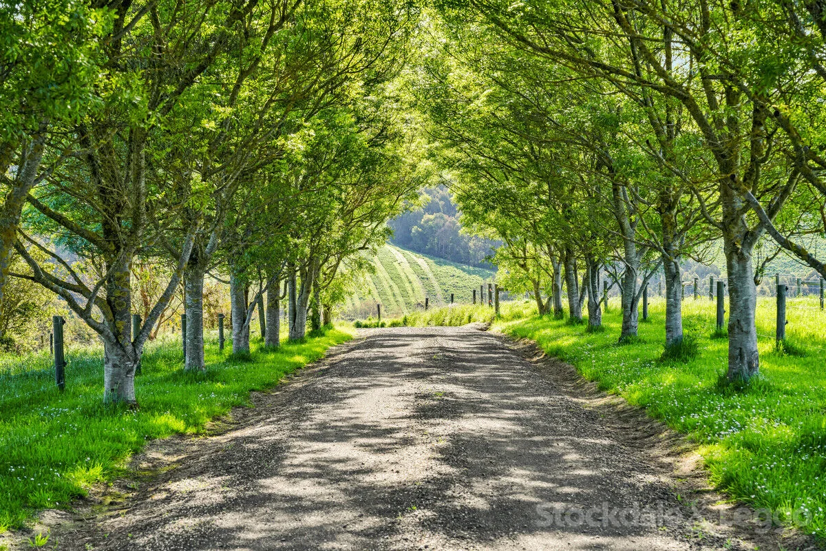 Additional image 5 of 34 Milne Road, Ryanston VIC 3992