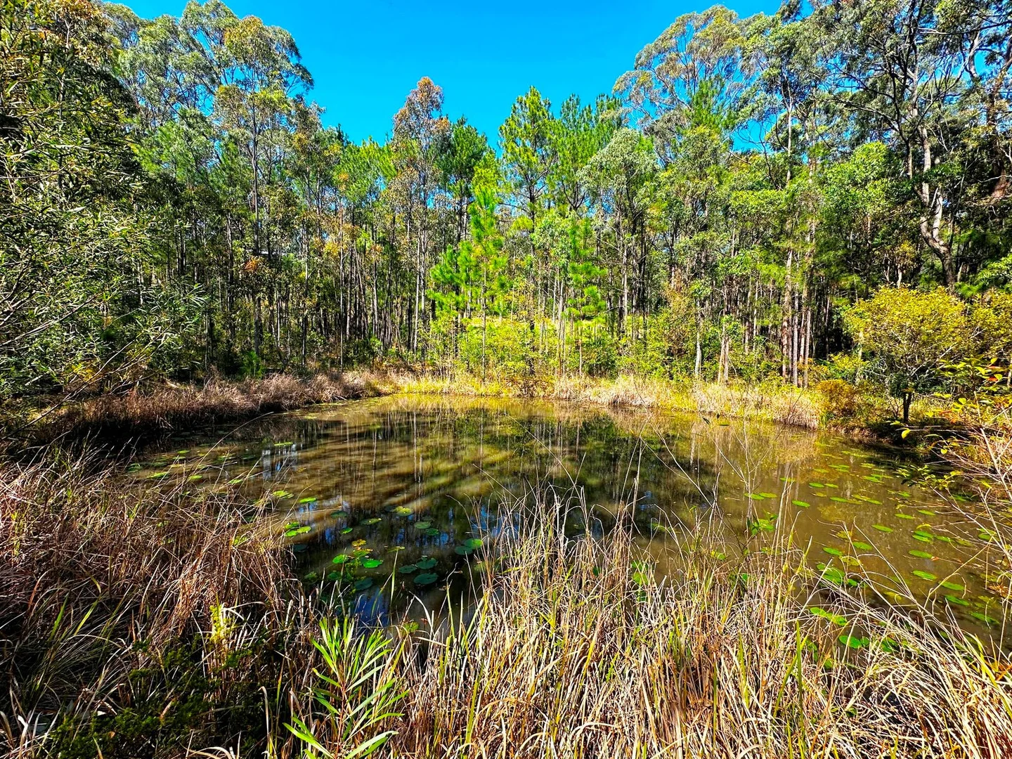 Additional image 6 of 88 Clarke Street, Pindimar NSW 2324