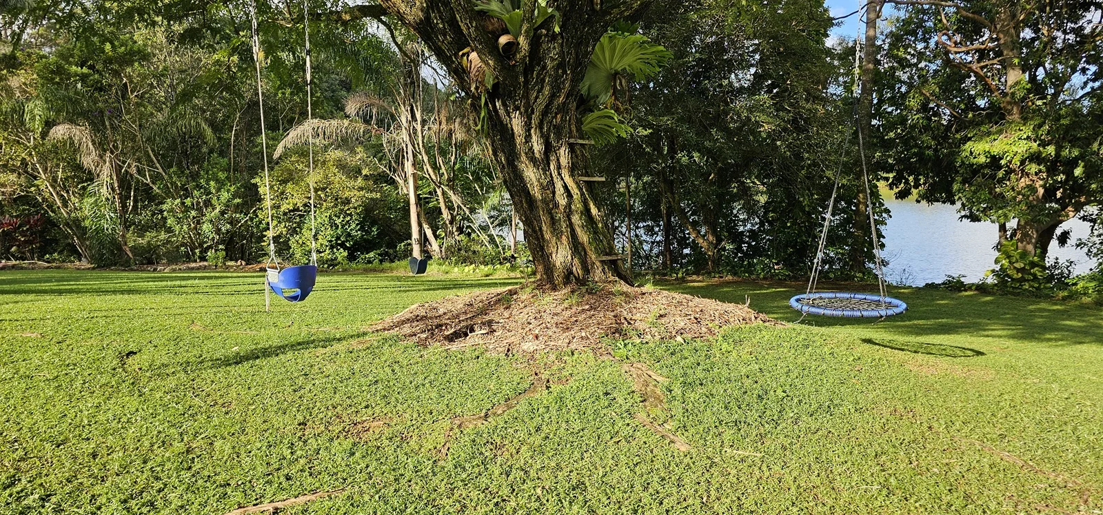 Additional image 16 of 81 Shaws Lane, Alstonville NSW 2477