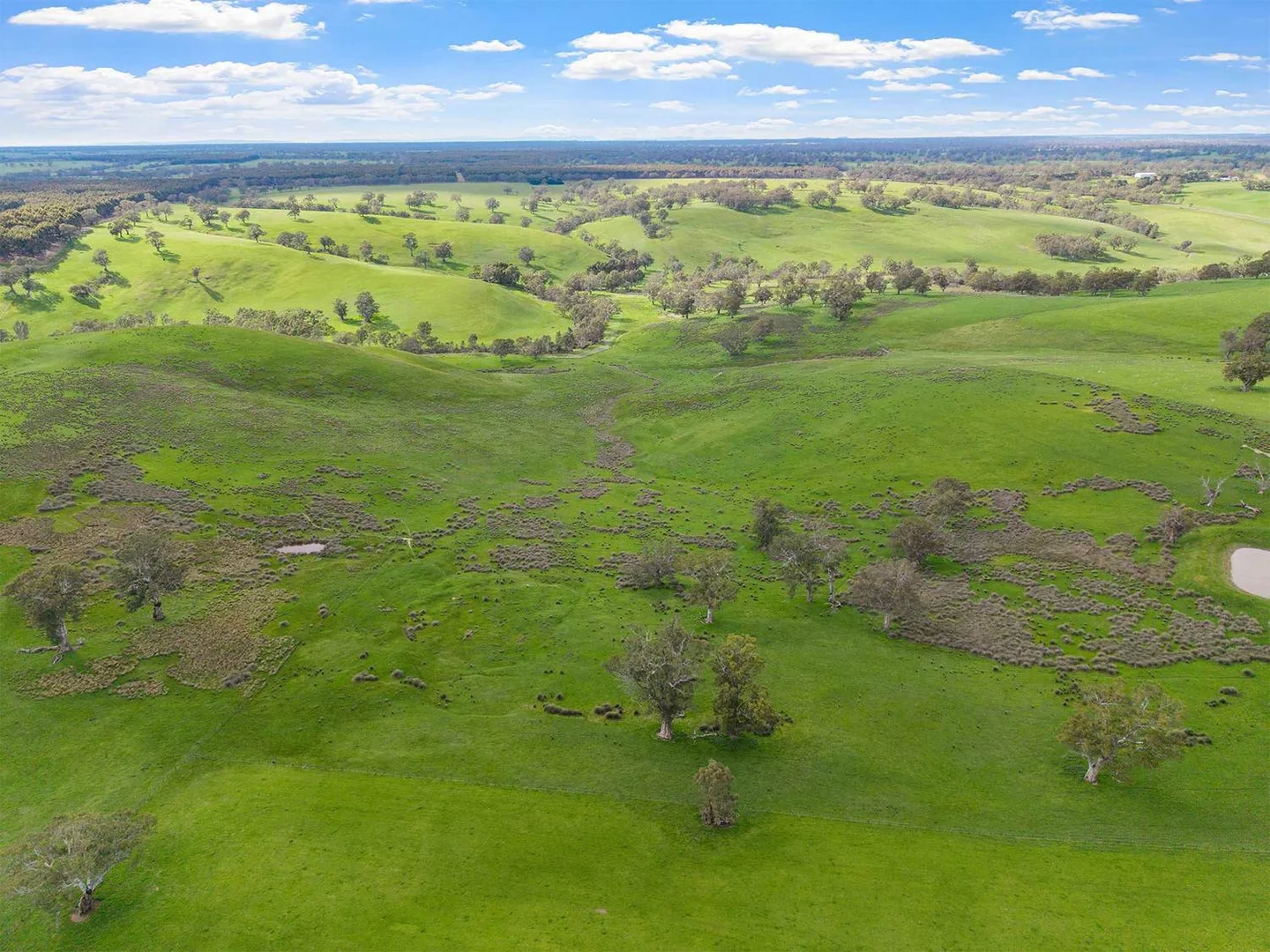 Additional image 14 of 3786 Casterton Edenhope Road, Chetwynd VIC 3312