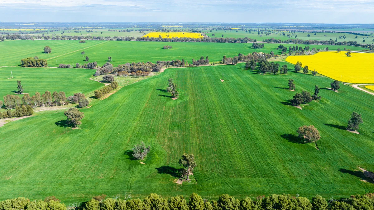 Additional image 9 of Olympic Highway, Yerong Creek NSW 2642