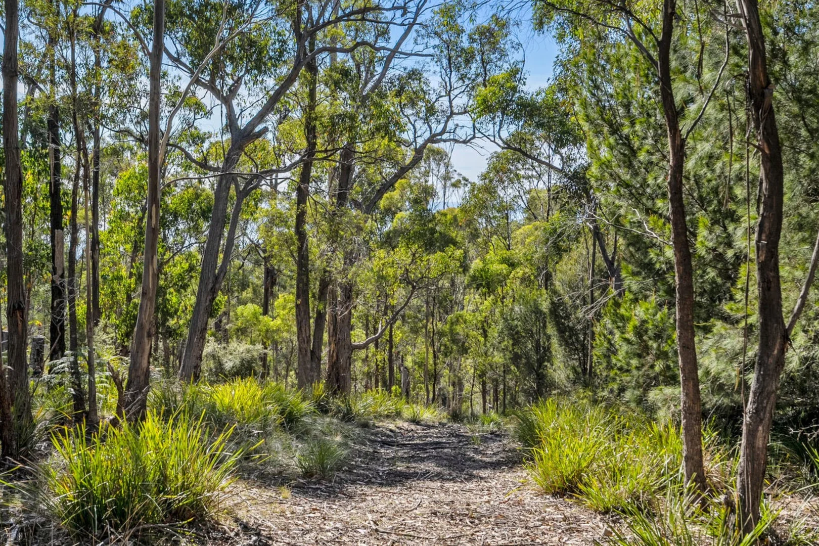 Additional image 36 of 108 Happy Valley Road, Spring Beach TAS 7190