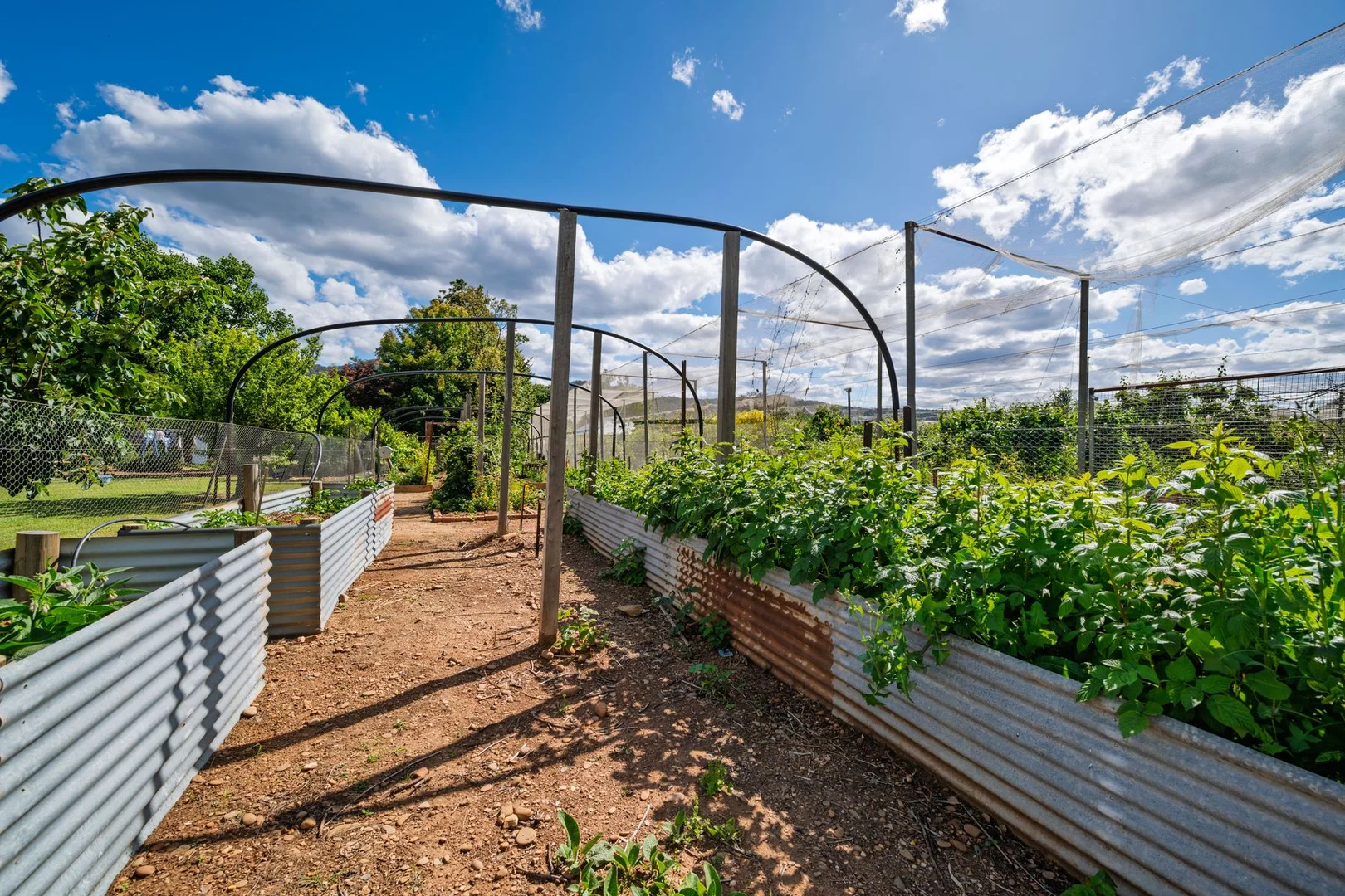 Additional image 41 of 5301 Great Alpine Road, Ovens VIC 3738